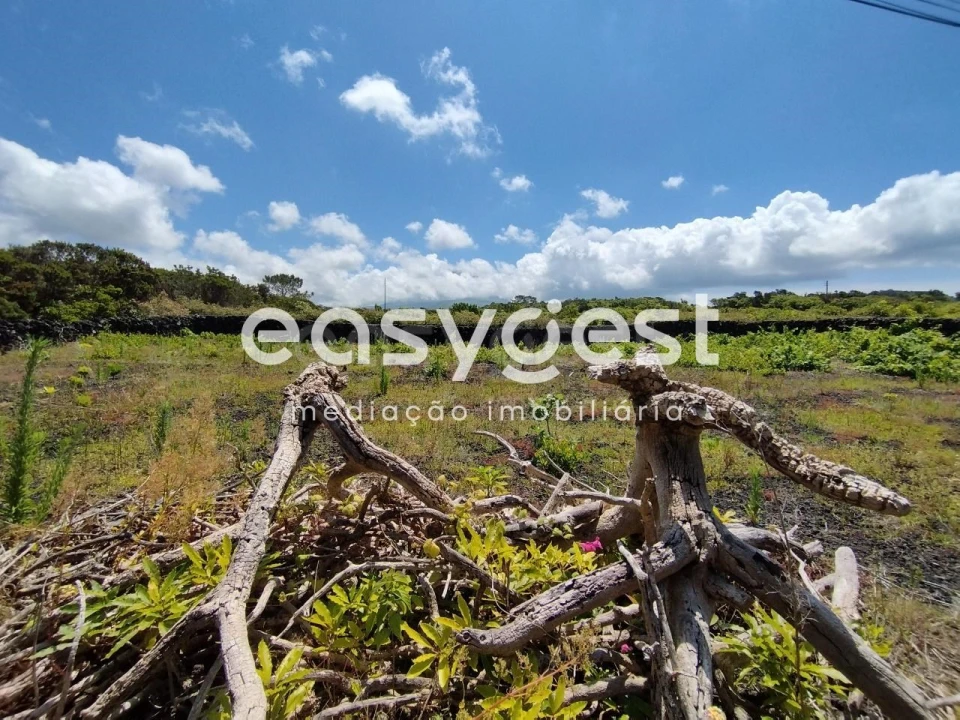 Terreno para Venda em Criação Velha Foto 12