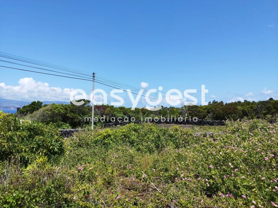 Terreno para Venda em Criação Velha Foto 13