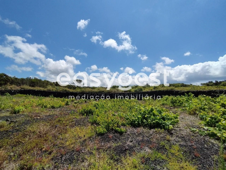 Terreno para Venda em Criação Velha Foto 14
