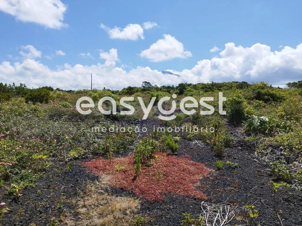 Terreno para Venda em Criação Velha Foto 15