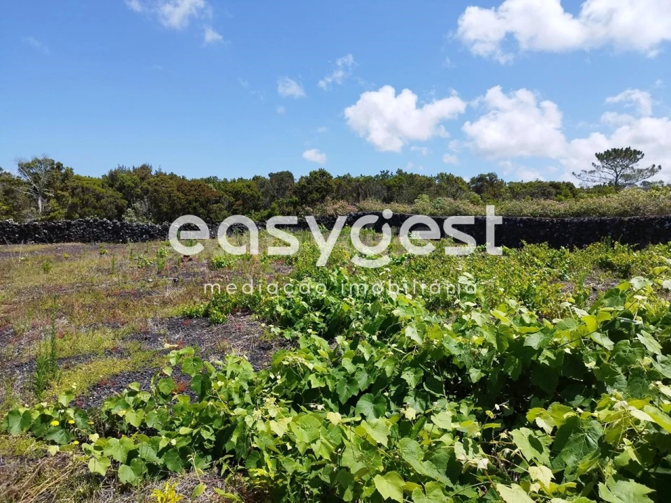 Terreno para Venda em Criação Velha Foto 17