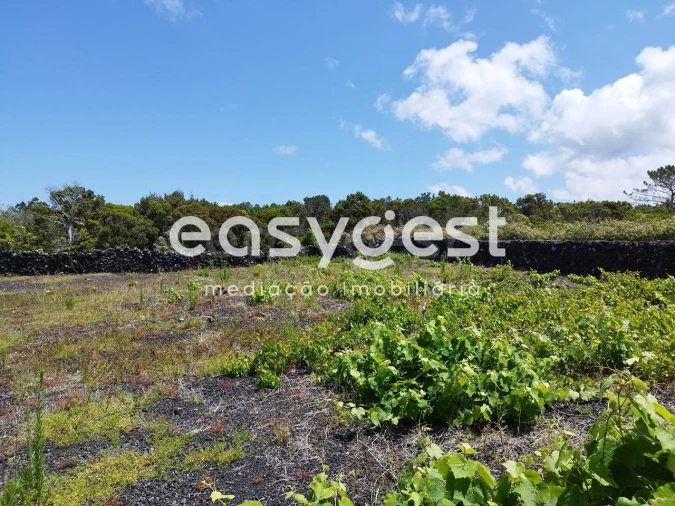 Terreno para Venda em Criação Velha Foto 7