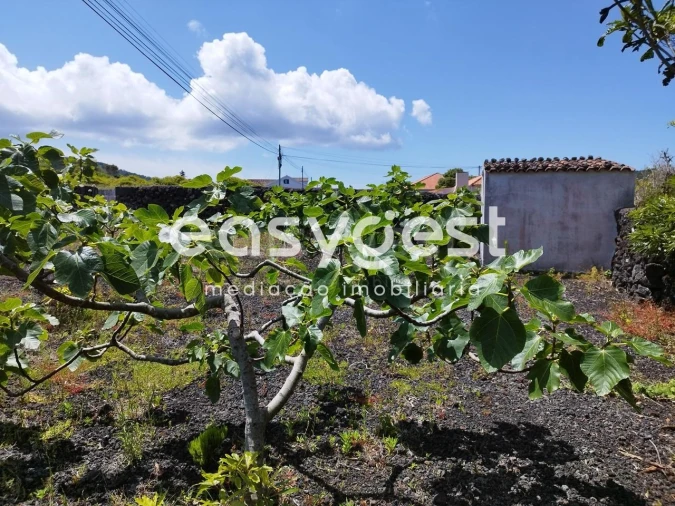 Terreno para Venda em Criação Velha Foto 9