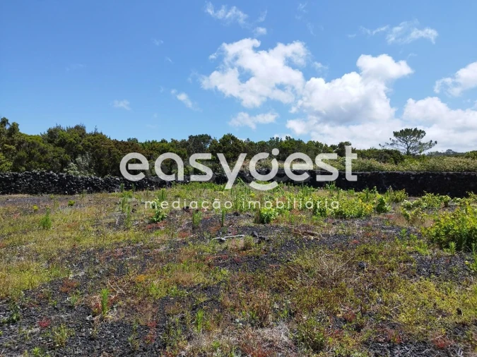Terreno para Venda em Criação Velha Foto 11