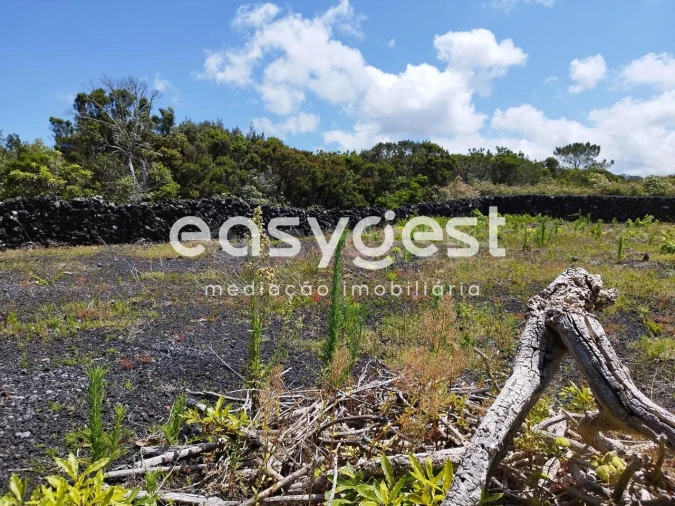 Terreno para Venda em Criação Velha Foto 16