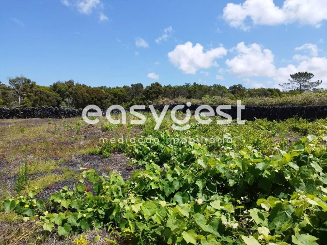 Terreno para Venda em Criação Velha Foto 17