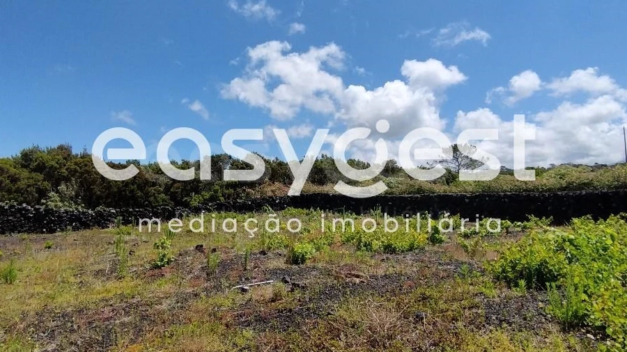 Terreno para Venda em Criação Velha