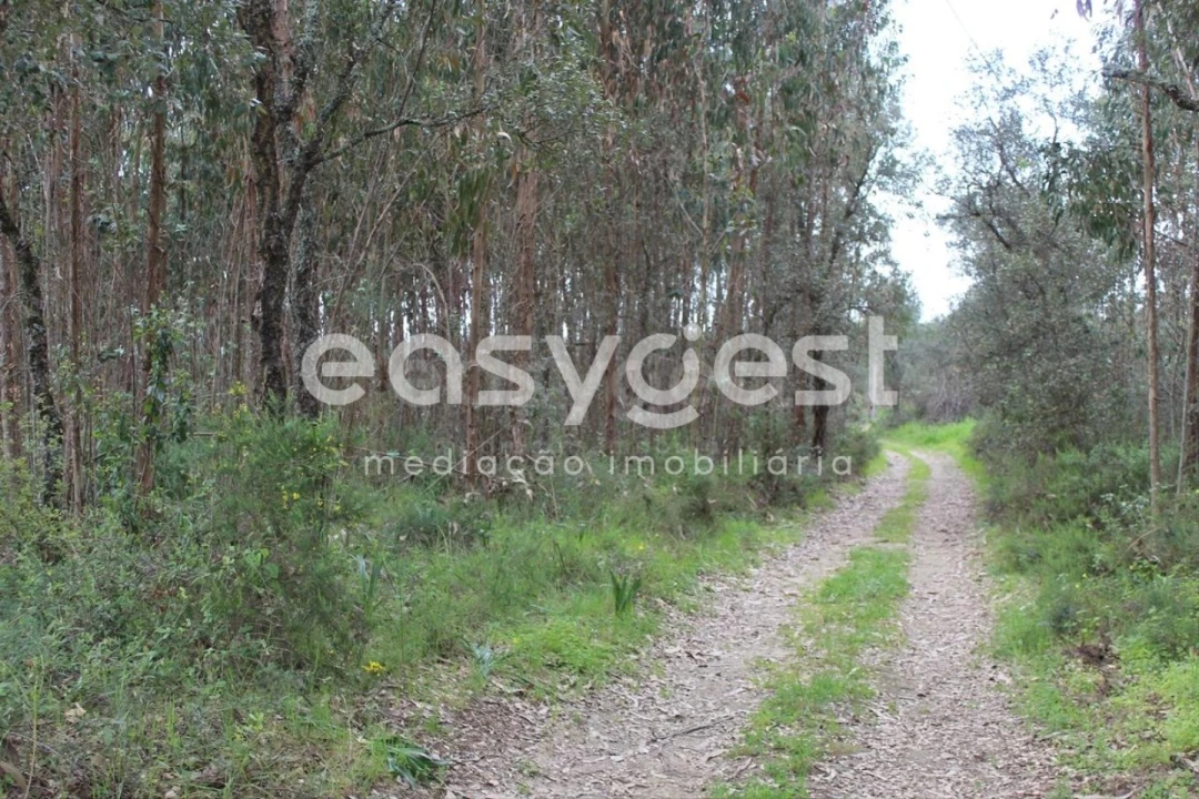 Terreno para Venda em Asseiceira Foto 2