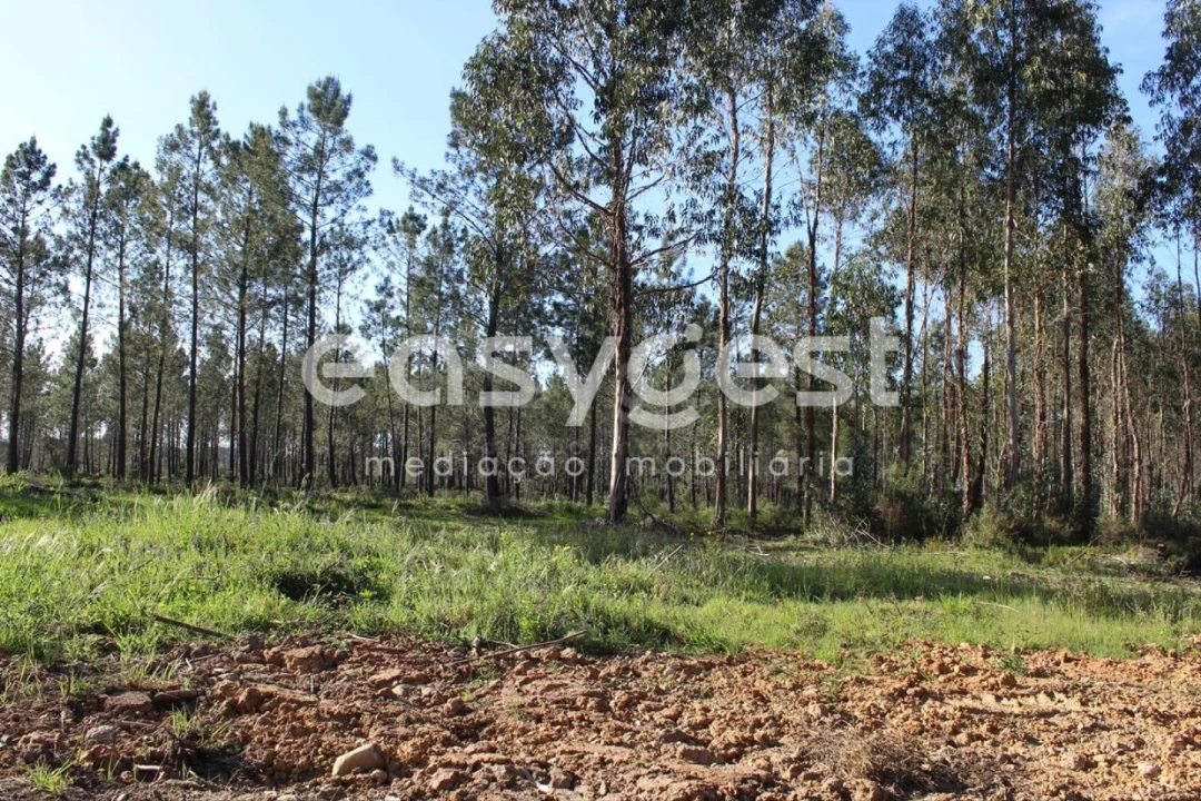 Terreno para Venda em Asseiceira Foto 3