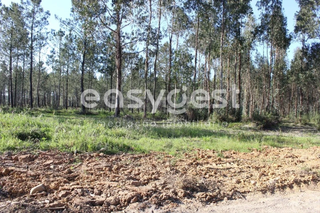 Terreno para Venda em Asseiceira Foto 4