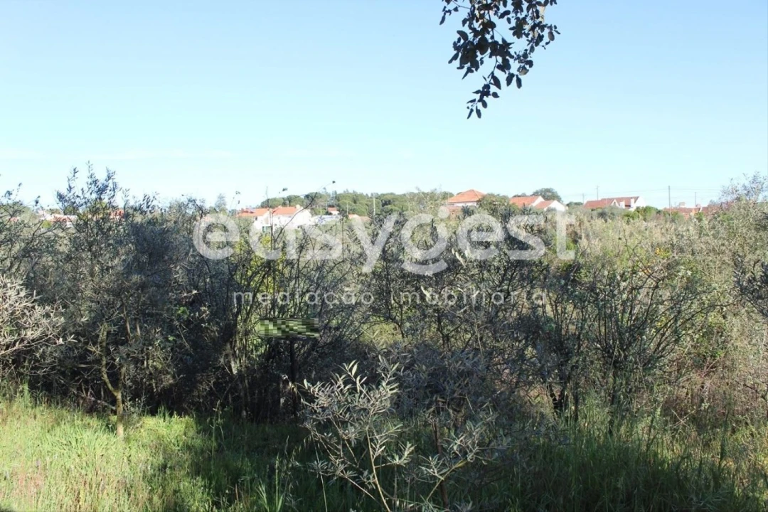 Terreno para Venda em Asseiceira Foto 7