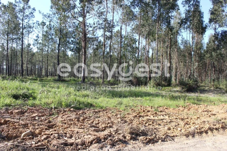 Terreno para Venda em Asseiceira Foto 4