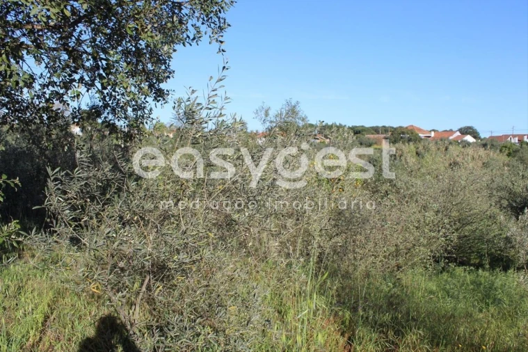 Terreno para Venda em Asseiceira Foto 6