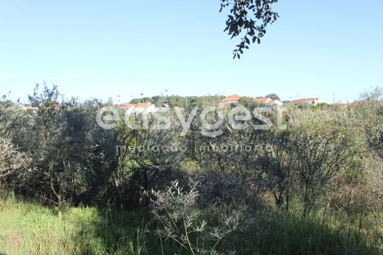 Terreno para Venda em Asseiceira Foto 7