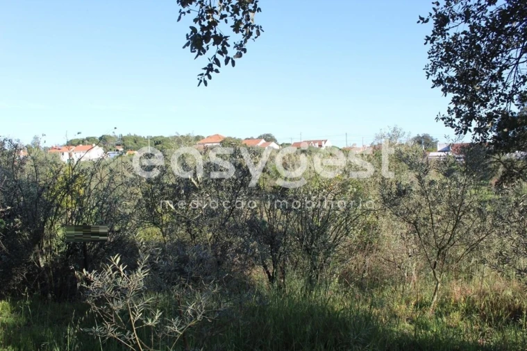 Terreno para Venda em Asseiceira Foto 8