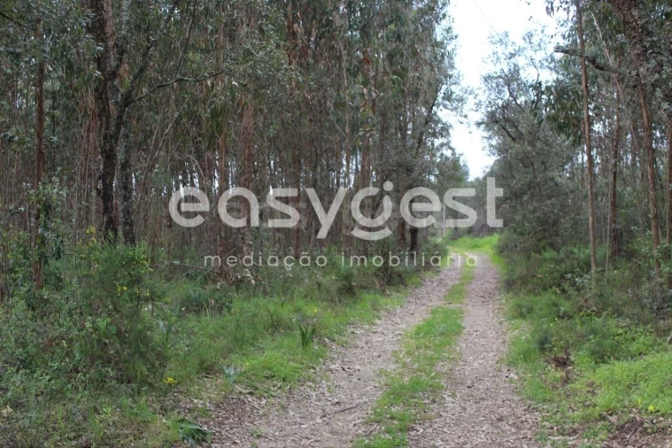 Terreno para Venda em Asseiceira Foto 15