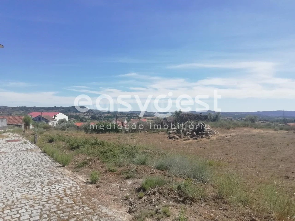 Terreno para Venda em Caria Foto 5