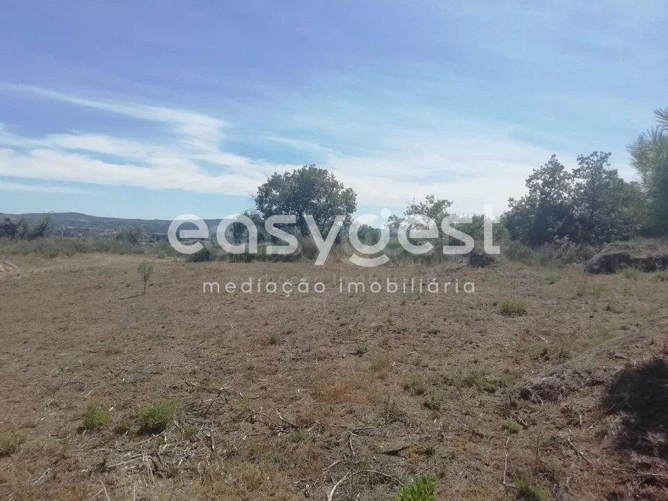 Terreno para Venda em Caria Foto 6