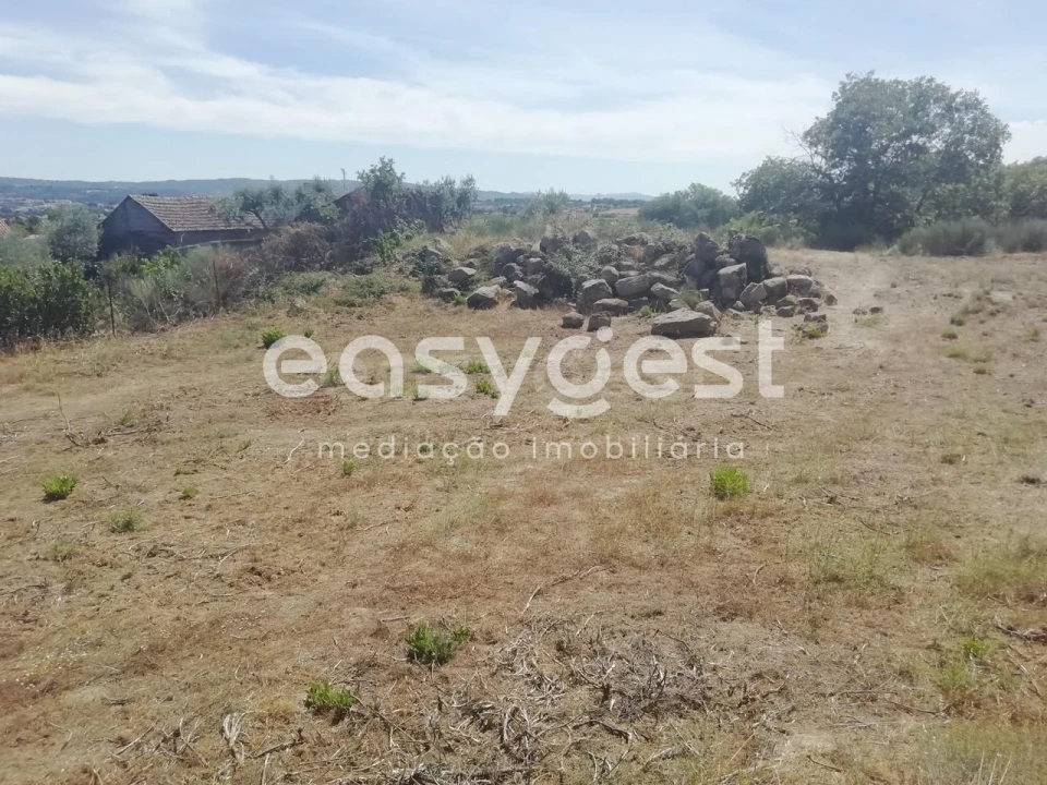 Terreno para Venda em Caria Foto 7