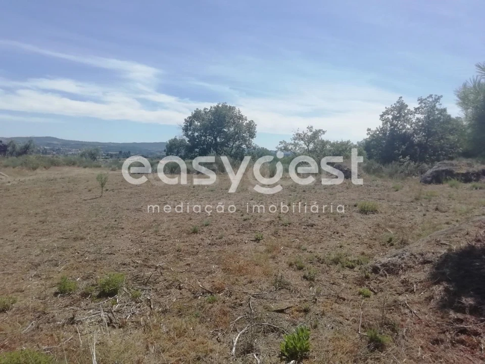 Terreno para Venda em Caria Foto 9