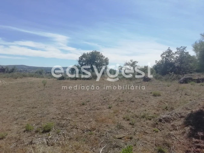 Terreno para Venda em Caria Foto 6