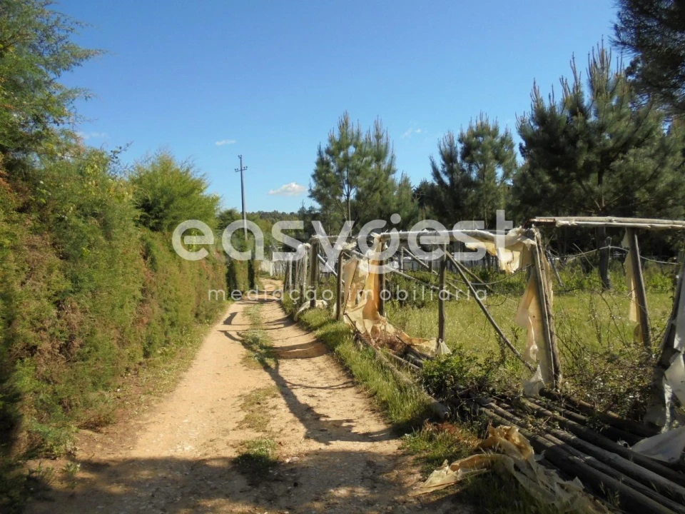 Terreno para Venda em Ferreira do Zezere Foto 17