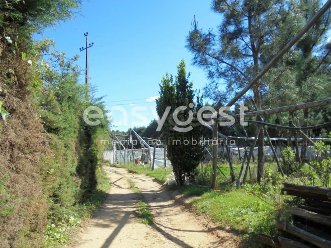 Terreno para Venda em Ferreira do Zezere Foto 2