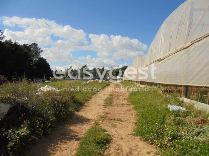 Terreno para Venda em Ferreira do Zezere Foto 9
