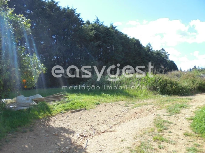 Terreno para Venda em Ferreira do Zezere Foto 10