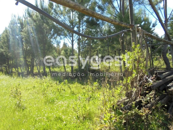 Terreno para Venda em Ferreira do Zezere Foto 14