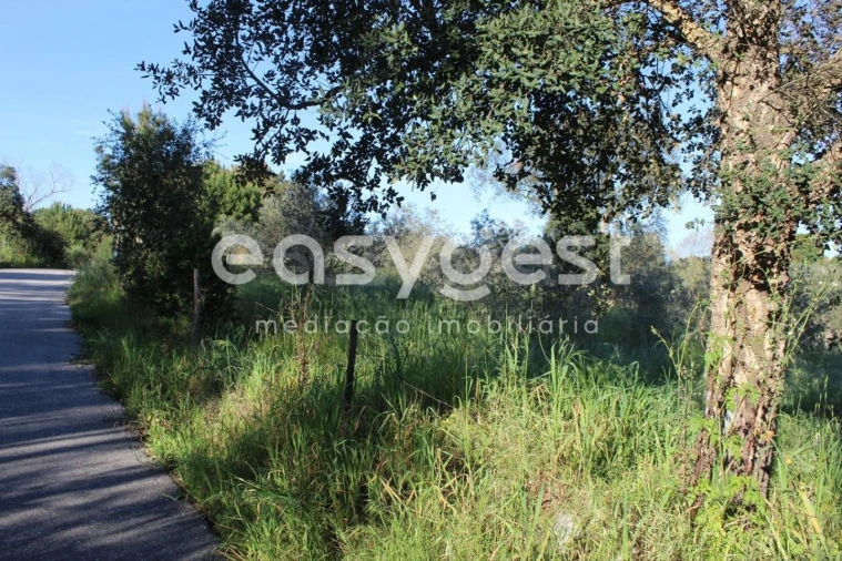 Terreno para Venda em Asseiceira Foto 10