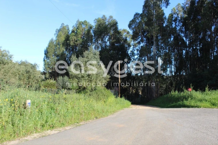 Terreno para Venda em Asseiceira Foto 14