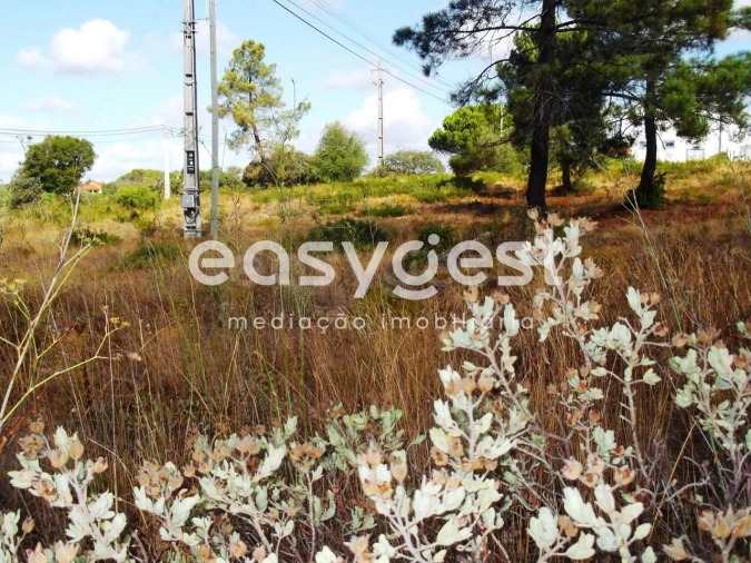 Terreno para Venda em São João Baptista e Santa Maria dos Olivais Foto 8