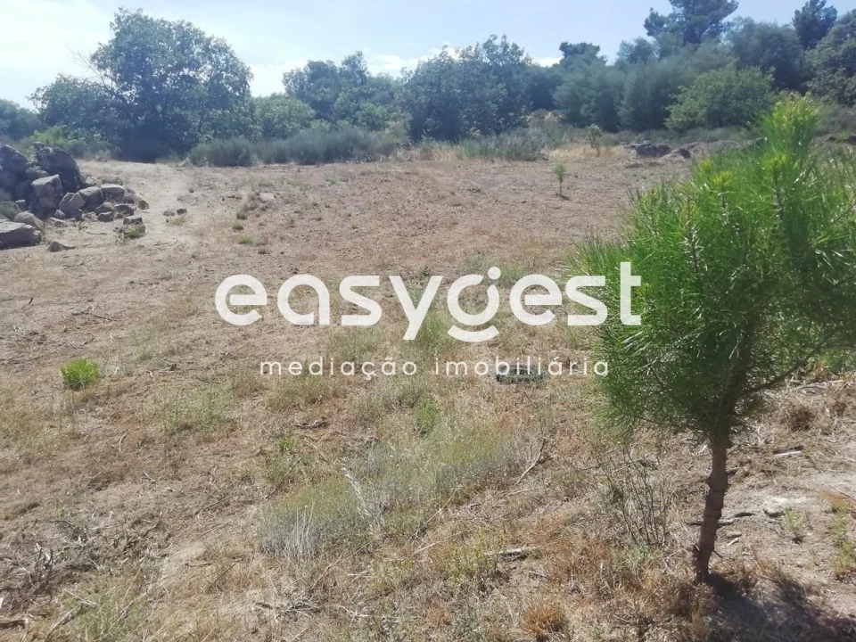 Terreno para Venda em Caria Foto 2