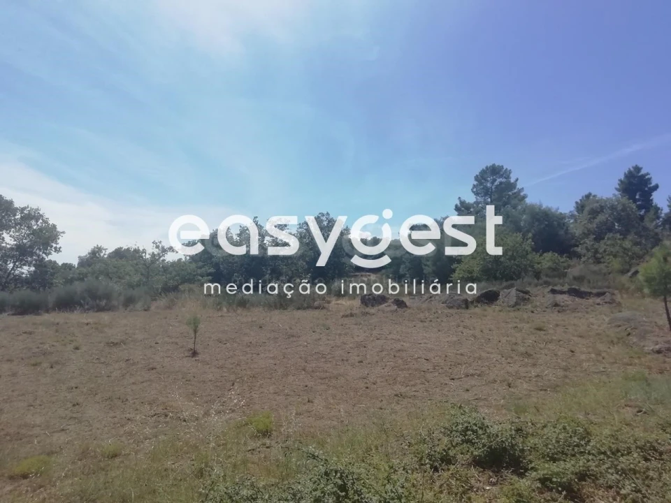 Terreno para Venda em Caria Foto 9