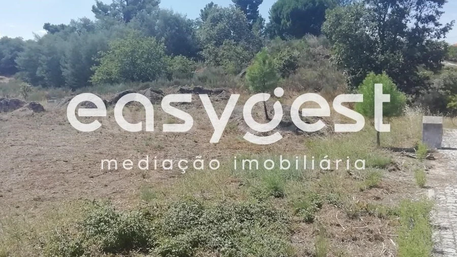 Terreno para Venda em Caria