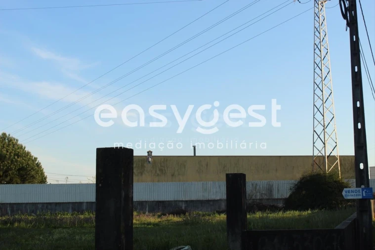 Terreno para Venda em Ovar, São João, Arada e São Vicente de Pereira Jusã Foto 5