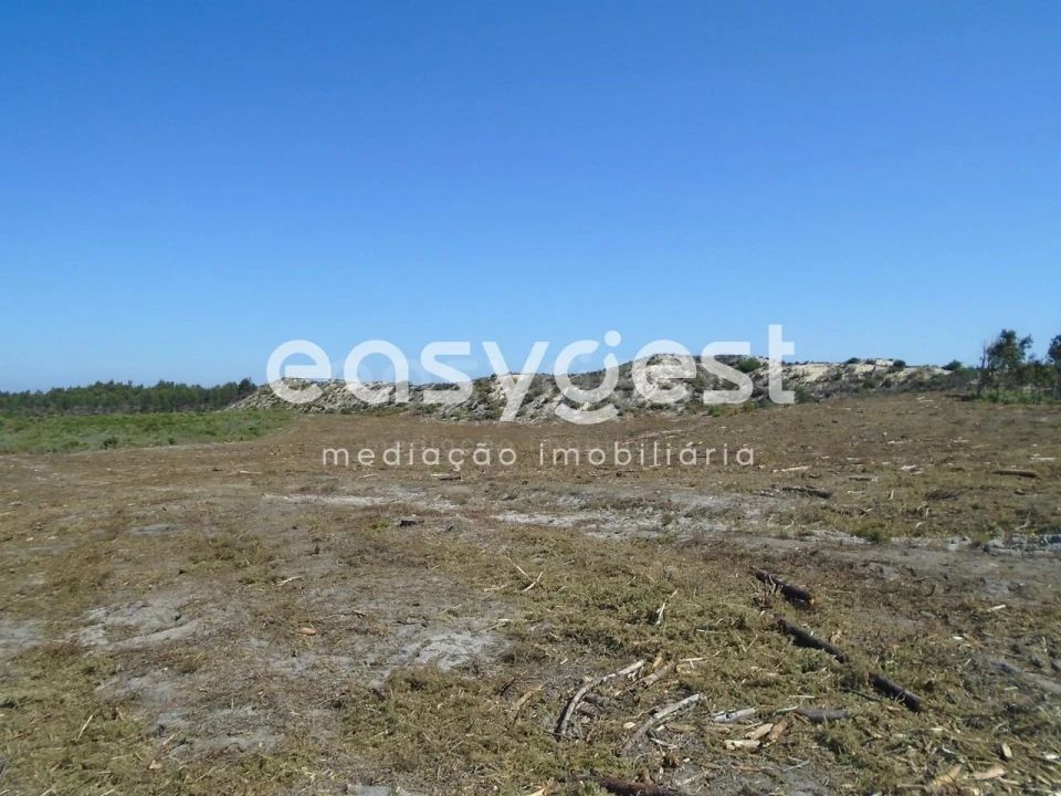 Terreno para Venda em Pataias e Martingança Foto 7