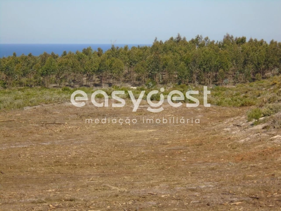 Terreno para Venda em Pataias e Martingança Foto 16