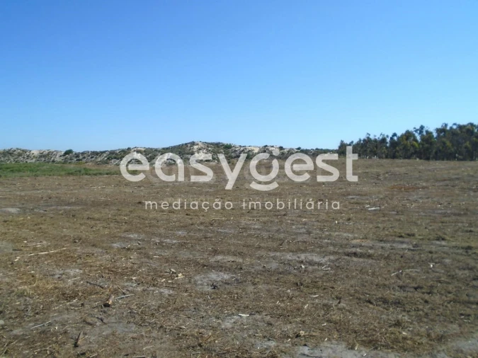 Terreno para Venda em Pataias e Martingança Foto 4