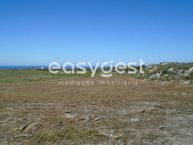 Terreno para Venda em Pataias e Martingança Foto 14