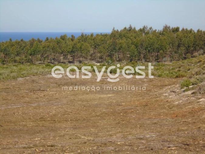Terreno para Venda em Pataias e Martingança Foto 16