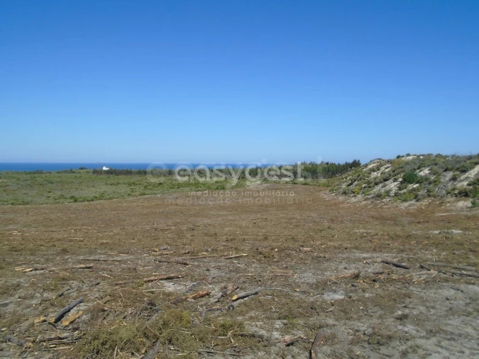 Terreno para Venda em Pataias e Martingança Foto 19