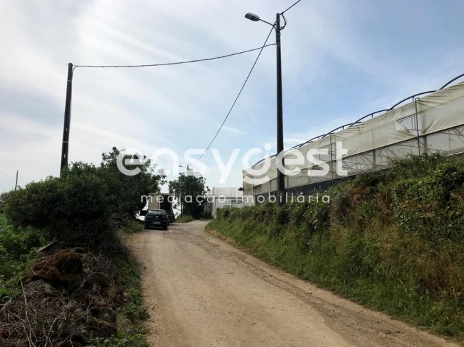 Terreno para Venda em Almargem do Bispo, Pêro Pinheiro e Montelavar Foto 5