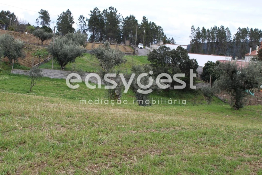 Terreno para Venda em Cardigos Foto 5