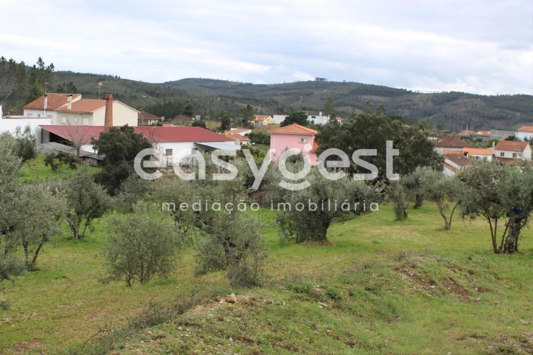 Terreno para Venda em Cardigos Foto 6