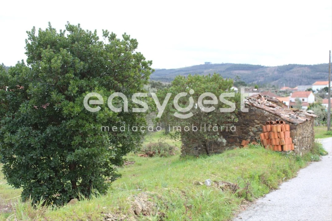 Terreno para Venda em Cardigos Foto 8