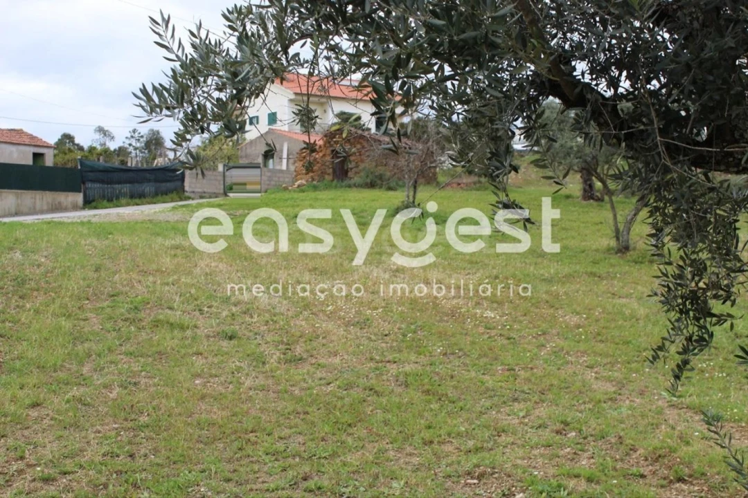 Terreno para Venda em Cardigos Foto 17