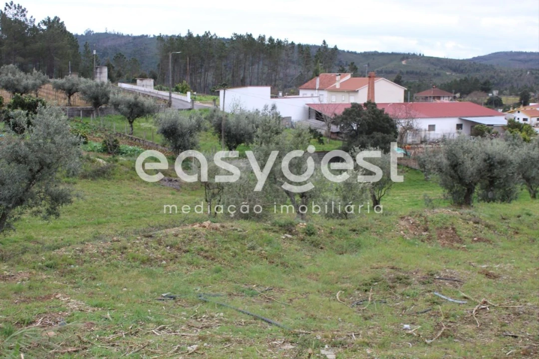 Terreno para Venda em Cardigos Foto 25