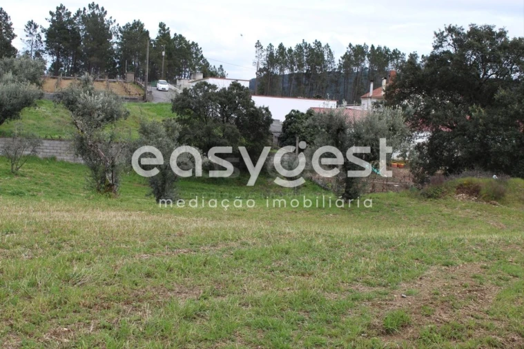 Terreno para Venda em Cardigos Foto 14